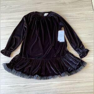 Rachel Parcell Velvet Kids Dress in Dark Brown